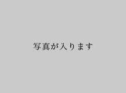 オプション名